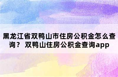 黑龙江省双鸭山市住房公积金怎么查询？ 双鸭山住房公积金查询app